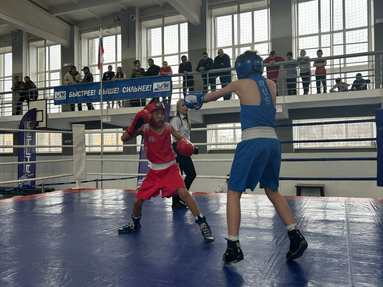 Более 150 спортсменов собрал областной турнир по боксу в Ангарске Пресс-служба администрации АГО