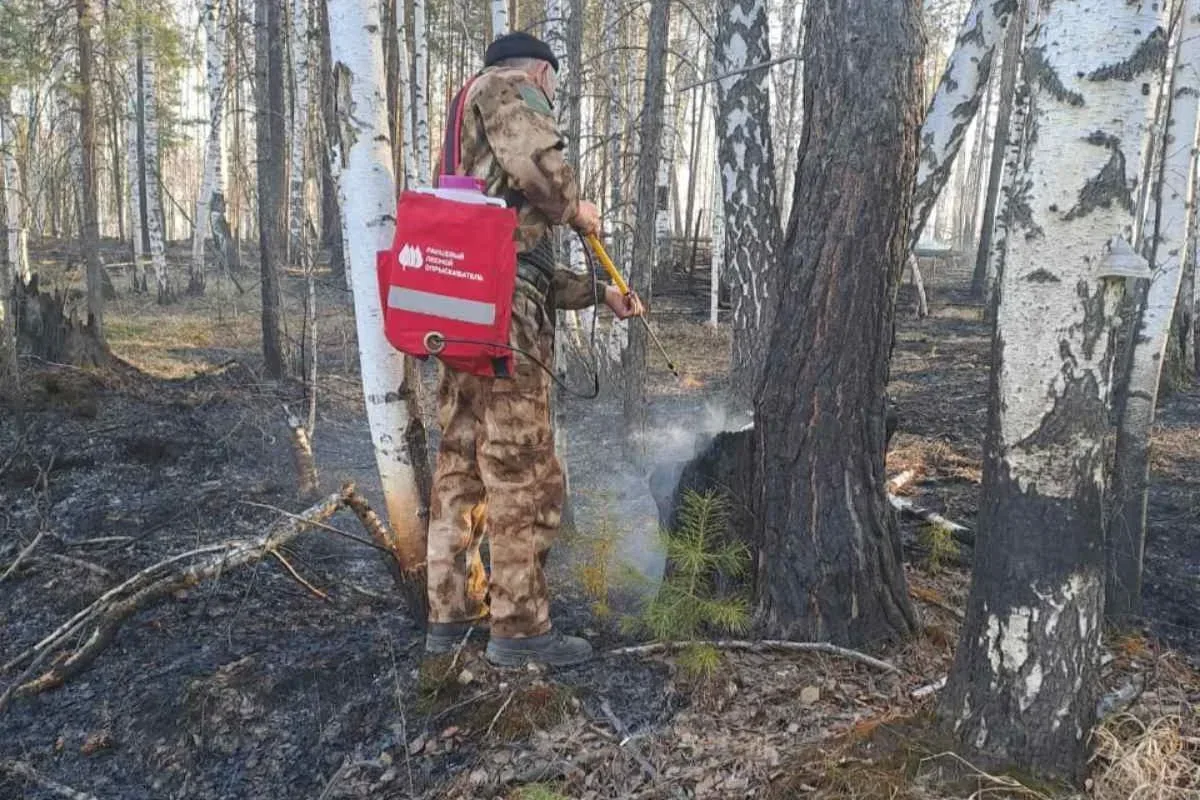 Один лесной пожар ликвидировали в Иркутской области Пресс-служба правительства Иркутской области