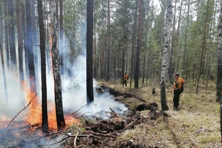 Лесной пожар площадью 6 га продолжают тушить в Иркутской области Пресс-служба правительства Иркутской области