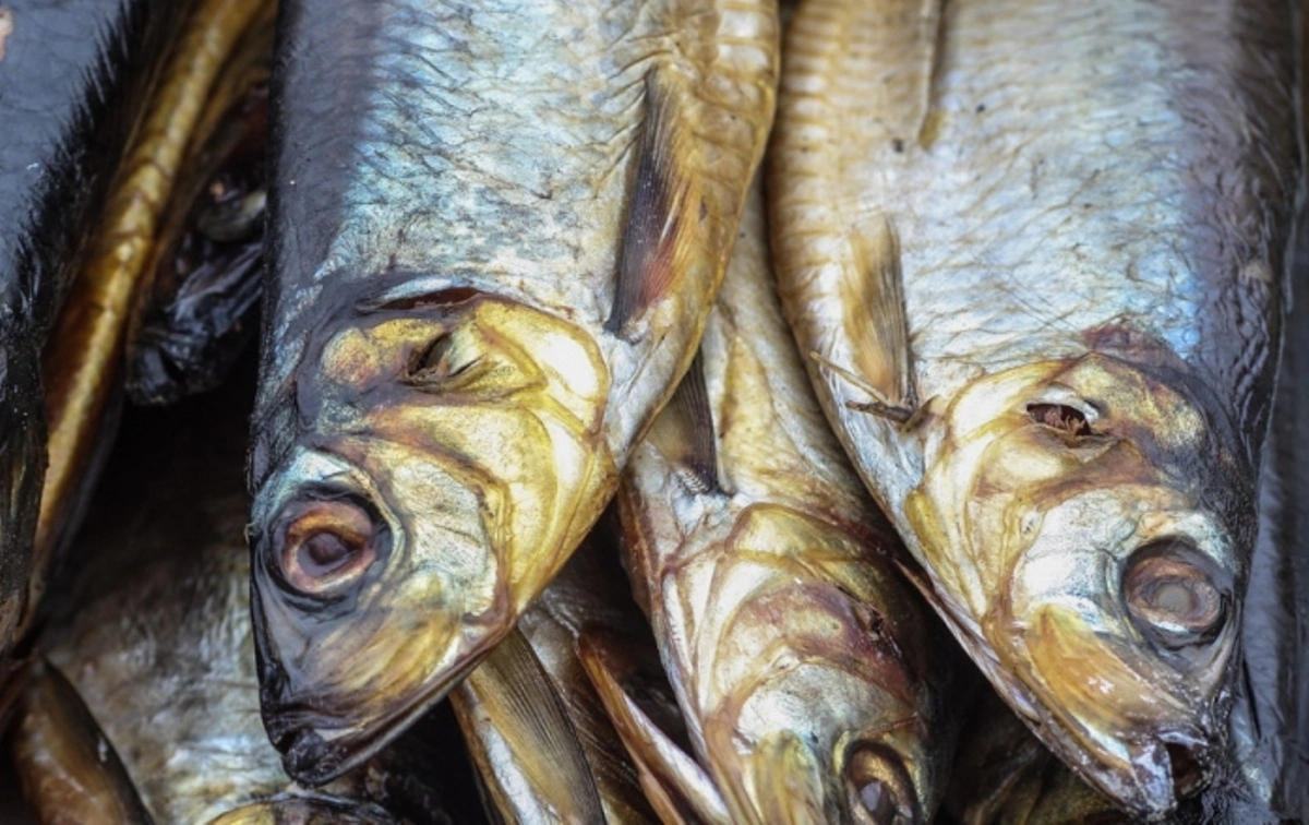 ИА PrimaMedia