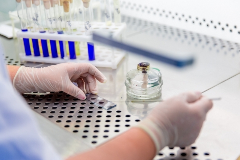 Тематическое фото ИА PrimaMedia