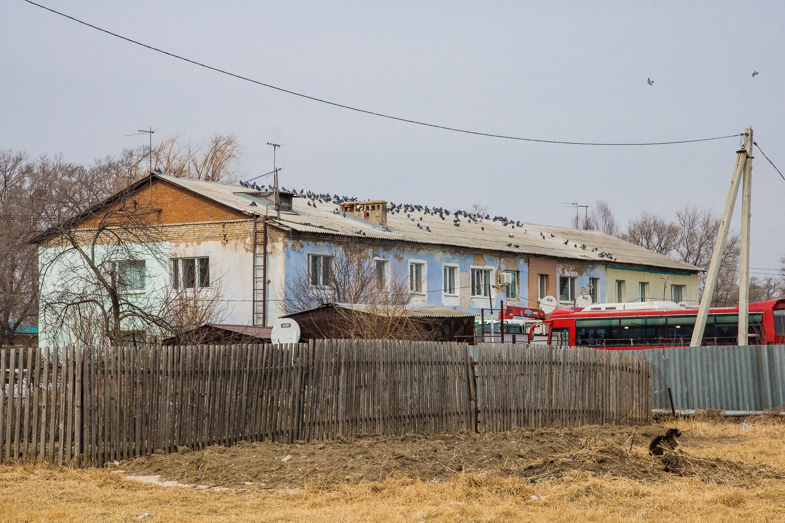 В России шумомеры могут появиться не только в городах Иван Федотов, ИА PrimaMedia