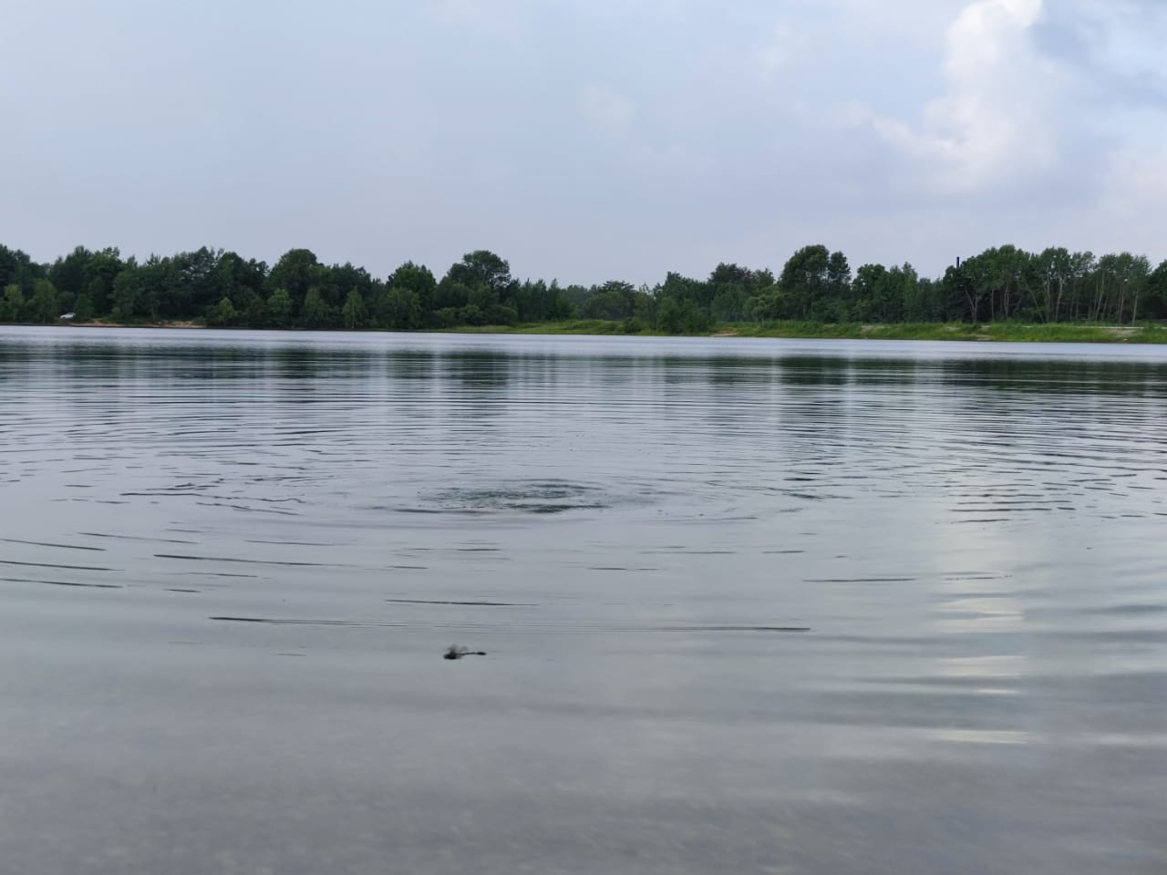 Водоем Марина  Померанцева , ИА EAOMedia