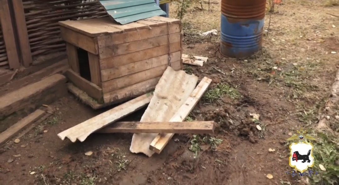 Медведь забрался во двор дома и утащил собаку в Иркутской области Пресс-служба ГУ МВД России по Иркутской области